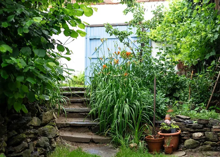 Pferdehof-jauerling *